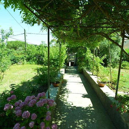 Apartment Renata Veli Losinj Exterior photo